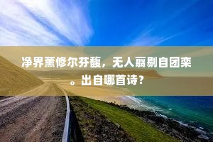 心有灵犀一点通成语的拼音