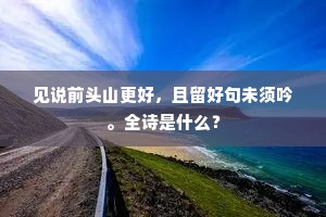 心有余而力不足成语的拼音