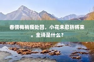 无限面皮儿，虽则不同，各是一般好。下一句是什么？