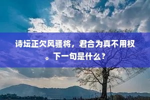 驾言复出何求者，旷千载、今欲从谁。的解释
