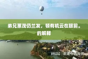 心知其意成语的释义