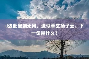 太白闲云，新丰旧雨，多少英游消歇。下一句是什么？