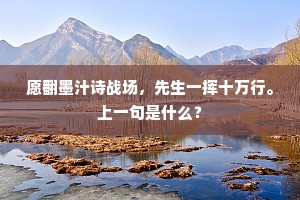桃李满城春，恨□屏□，只作三年客。的释义