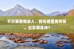 信及豚鱼成语的释义