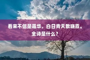 乾坤一片玉琉璃，怎算得、清光多少。的解释