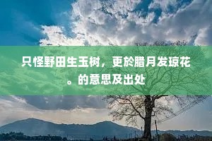 兴利除害成语的解释