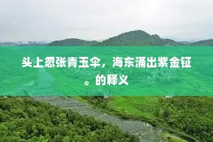 漫绿叶成阴，青苔满地，做得异时恨。下一句是什么？