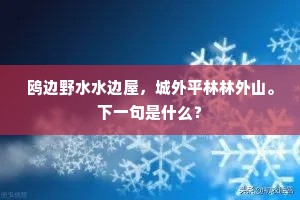 记登临、少年思豪，唾壶击玉歌清壮。下一句是什么？