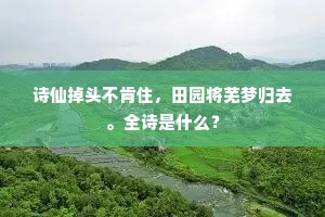 绿丛红萼，芳鲜柔媚，约略试妆深浅。出自哪首诗？