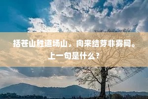 星离雨散成语的拼音
