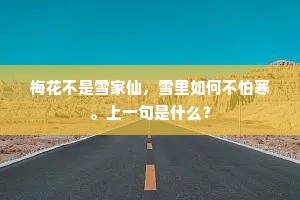 梦枕频惊，愁衾半拥，万里归心悄悄。的释义