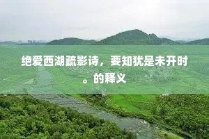 行思坐忆成语的拼音