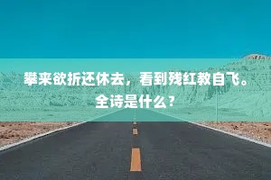 行侠好义成语的释义