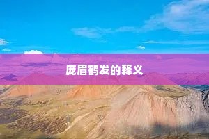 庞眉鹤发的释义