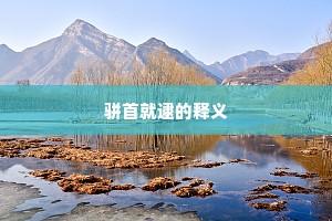 悬榻留宾成语的拼音