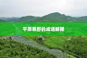 研精殚力成语的解释