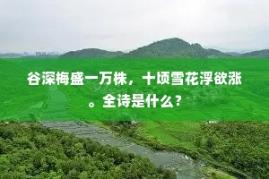 蝶侣斗狂，莺雏弄巧，嬉嬉舞态歌唇。的意思及出处
