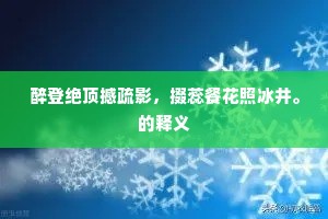 颜精柳骨成语的释义