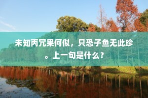 子厚南宫，仲舒四掖，又报岑参东省。全诗是什么？