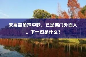 偃武行文成语的解释