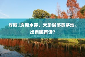 偃武修文成语的释义
