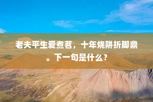 衰老常嫌带减围，那堪髀肉厌征騑。上一句是什么？
