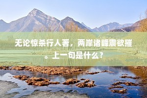 无一岁、不书年大有，问元功谁燮理。全诗是什么？