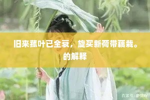 掩过扬善成语的拼音