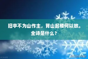 掩瑕藏疾成语的解释