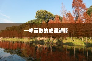眼高手生成语的拼音