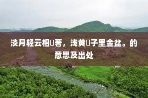 再同饮、花前酒，莫都忘、今夜夜深。的释义