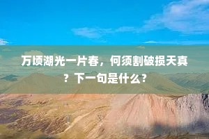 座人咨嗟用笔精，不知犹是今人画。上一句是什么？