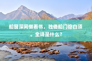 甚老子情钟，明朝后日，又洒送春泪。的意思及出处