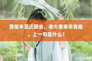 宴安鸩毒成语的解释