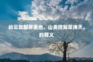 一瞬光阴，霎时蜂蝶，还付落花流水。的解释