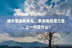 雁影分飞成语的解释