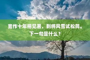 如今知何处，三山远，云水一望迢迢。上一句是什么？