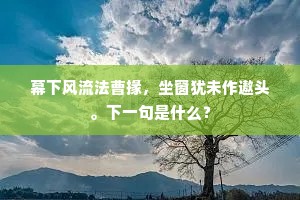 凭高望远，云断路迷，山簇暮寒凄紧。出自哪首诗？