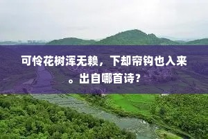 金闺平帖阳台路，恨酥雨、不扫行云。上一句是什么？
