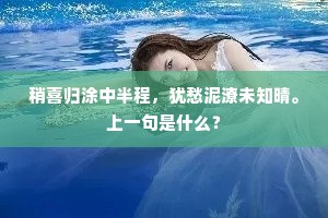 白鸥欲下，金鱼不去，圆叶低开蕙帐。的解释