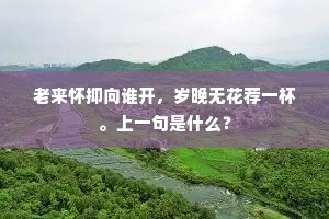 勤劳疆场诚无避，妆点蓬瀛惜未真。的意思及出处