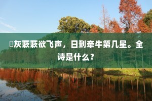 　赠人　　雍容黄阁姿，卓荦青云态。下一句是什么？