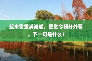 （李庆安上，云）自家李庆安的便是。的解释