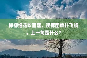 叹富贵如披麻救火，功名似暴虎冯河。的释义