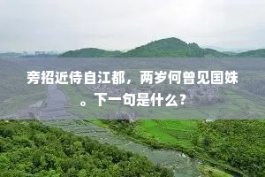 梧桐一叶初凋，菊绽东篱，佳节登高。的意思及出处