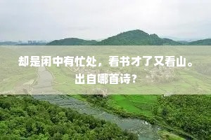沂水弦歌成语的拼音