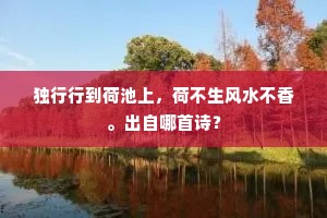 璧月多情，黄昏谁近，素盈盈罗帕尘。出自哪首诗？