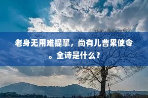 当吃得席前花影坐间移，白发故人稀。上一句是什么？