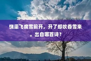 休泄漏，何期两意同成就，为他憔瘦。出自哪首诗？