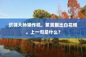 遗老遗少成语的释义